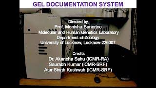 Gel Documentation