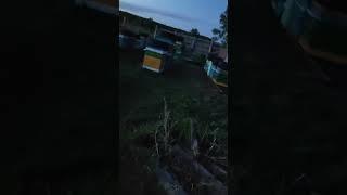 после десяти вечера 30 мая 24г