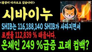 [시바이누][시바이누코인][시바이누코인전망][SHIB][DOGE][BTC[코인전망 비트코인 이더리움 도지코인 시바이누 페페코인
