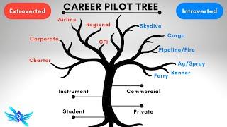 ‍️Pilots! Choose Your Career Path Wisely! 