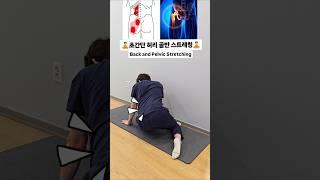 초간단 허리골반 스트레칭 #허리스트레칭 #골반스트레칭 #고관절스트레칭 #허리운동 #이상근스트레칭 #요방형근스트레칭  #hipmobility #pelvicstretch #스트레칭루틴