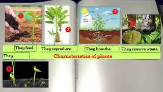 Science and Technology: Characteristics of plants as living things