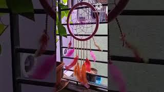 Dream Catcher DIY #craft #dreamcatcher #diycrafts #decoration