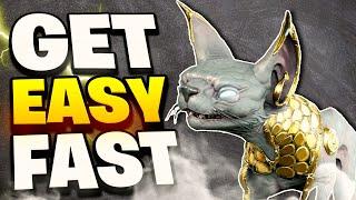 Beginner's Guide: How to Get All Kavats Fast in Warframe