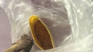 Золото, оружие и икру изъяли в Хабаровском крае