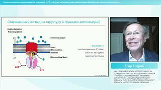 Бесплатный вебинар "Восстановление митохондрий с помощью ИГТ"