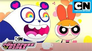 Un-Bear-able! | New Powerpuff Girls | Season 3 | Cartoon Network