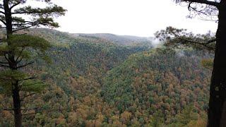 Grand Canyon Wellsboro  Pennsylvania Entrance to Lookout