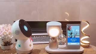 Jibo Meets ElliQ: A Fun & Insightful Companion Robot Review