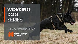 The Working dog series - tested and approved by professionals!