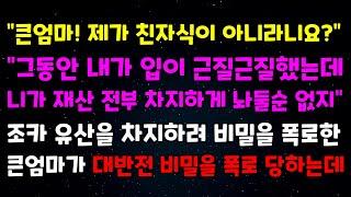 "큰엄마! 제가 친자식이 아니라니요?" "그동안 내가 입이 근질근질했는데 니가 재산전부 차지하게 놔둘순없지" 조카 유산을 차지하려 비밀을 폭로한 큰엄마가 대반전 비밀을 폭로당하는데