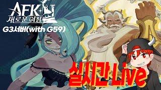 AFK: 새로운여정] 타시 3일차. 파라곤2 만든 흑우! 얘 잘 쓰고 계신가요?  G3서버 흑우. 컨설팅, 대뽑 환영