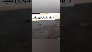 خیلی مراقب برکه‌های مخفی آب در جنوب  باشید، هم عمق دارن هم استتار! ️