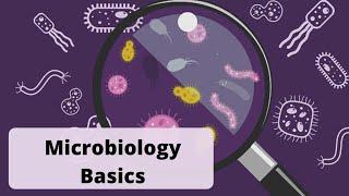 Microbiology II Periodontal Pathogens II Dr. Sneha II Perio Hub