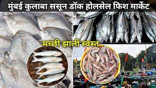 Colaba Sassoon Dock Fish Market | Colaba Fish Market Mumbai | Wholesale Fish Market In Mumbai