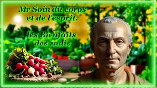 Mr soin du corps et de l'esprit les Bienfaits des Radis. 7