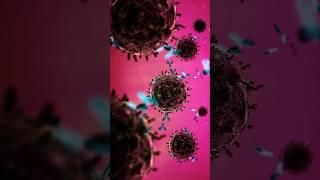 Cancer’s Hidden Enemy: The Power of Antibodies #facts #short #science