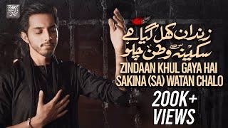 SAKINA WATAN CHALO | Syed Fardeen Kazim | New Nohay 2024 | Noha Bibi Sakina 2024 | 13 Safar Nohay