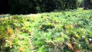 Malvern Mountain Bike Trails