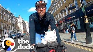 Deaf Cat Loves Riding Around London With Her Dad | The Dodo Cat Crazy