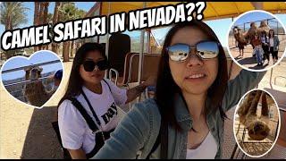 Camel Safari in Nevada?! | The BigJEss Show