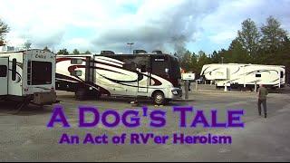 RV Fire - "A Dog's Tale -  An Act of RV'er Heroism"