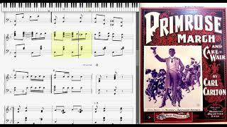 Primrose by Carl Carlton (1900, Cake Walk piano)