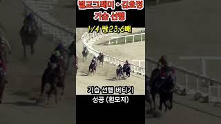 김효정 기수의 기습 선행 버티기 성공 2024년 10월 12일 1경주