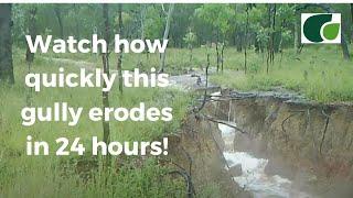 Gully Erosion: See How Quickly it Can Happen