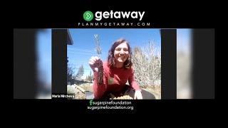 Earthy Errands on #getVIRTUAL