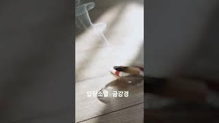 업장소멸 금강경 상진스님 #금강경독경 #금강반야바라밀경 #염불 #독경 #buddha #healing #relax