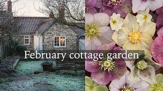 February Cottage Garden - Hellebores, Snowdrops and Early Flowers Tour