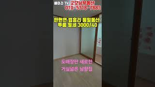 NO. 97K [파주 투룸] 파주 탄현면투룸/법흥리투룸/통일동산투룸/신세계첼시아울렛투룸/헤이리투룸 월세 3000/40만 조망좋고 채광좋은 남향집 도배장판 새로한 큰투룸#shorts