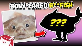 We Drew Animals Based on Their Scientific Names, and I Have Some Questions for Scientists