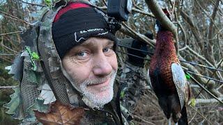 Stickbow Pheasant - Traditional Bowhunting for pheasant - Tales From the Willows