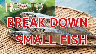 How to Break Down Small Fish 【Sushi Chef Eye View】