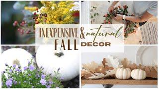 Natural Fall decor ~ DIY Fall Decorations ~ Inexpensive Fall Decor ~ Decorate for Fall ~ Fall Decor