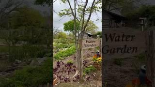 Antique Rose Emporium Brenham Texas Garden Display Design #landscaping#texasliving#roadtrips#venue