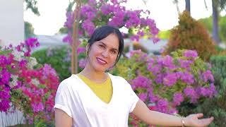 Senator Manny and Jinkee Pacquiao's Garden in Gensan | "A Sneak Peek"