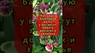 Как через банальную шутку в социальной сети у вас могут забрать достаток и здоровье. Крадник