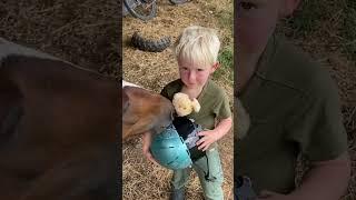 I try to give Henry a riding ￼lesson! So funny and cute!#cute #funny #horse #pony