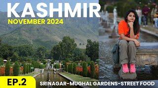 Ep.2 Srinagar's Famous Mughal GradensStreetfood In Kashmir | Kashmir Complete Tour guide