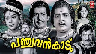 Panchavan Kaadu Malayalam Full Movie | Prem Nazir | Sathyan | Sheela | Malayalam Old Movies