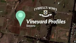 The Story of Tyrrell's Stevens Vineyard