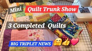 3 Completed Quilts  ,Honey Bee Quilt, Princess Quilt, Under The Sea Quilt, Mini Quilt Trunk Show