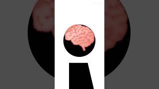 old gorrila tag profile picture #fypシ #gorillatag #vr #trending