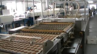 Used JAFFA CAKE LINE, still in PRODUCTION - 300kg/h-part 5