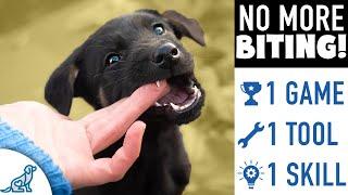 You're Making Your Puppy Nipping And Biting Worse!