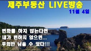 [제주 부동산 실시간 방송 11/4] 제주도 부동산 하락 하였다면 ...내가 변화를 해야된다