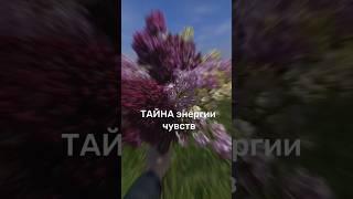 Почему подавленные чувства крадут твою энергию и как это остановить?.. Подробнее в комментариях
